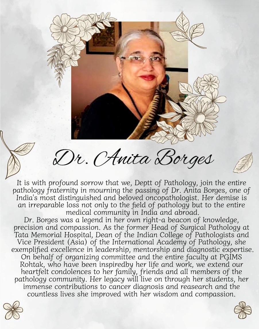 Dr Anita Borges